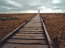 Road to Nowhere